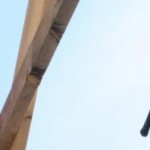 cropped-IMG_6676.jpg